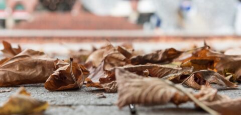 "Stadtwerke Emsdetten Herbst"
