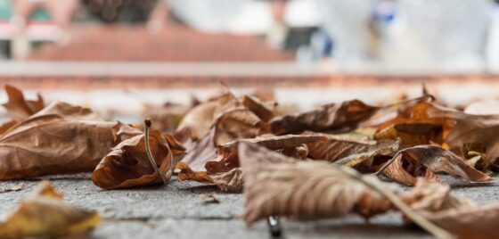 Stadtwerke Emsdetten Herbst